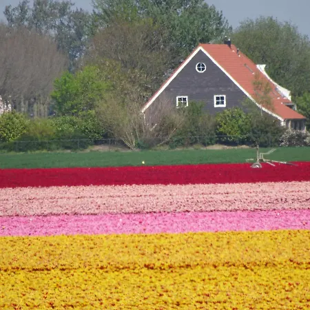 Homestay Mf Goeree Overflakkee Nieuwe-Tonge