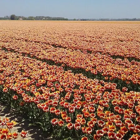 Mf Goeree Overflakkee Accommodatie bij particulieren
